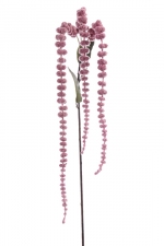 Amaranthus de luxe 73cm